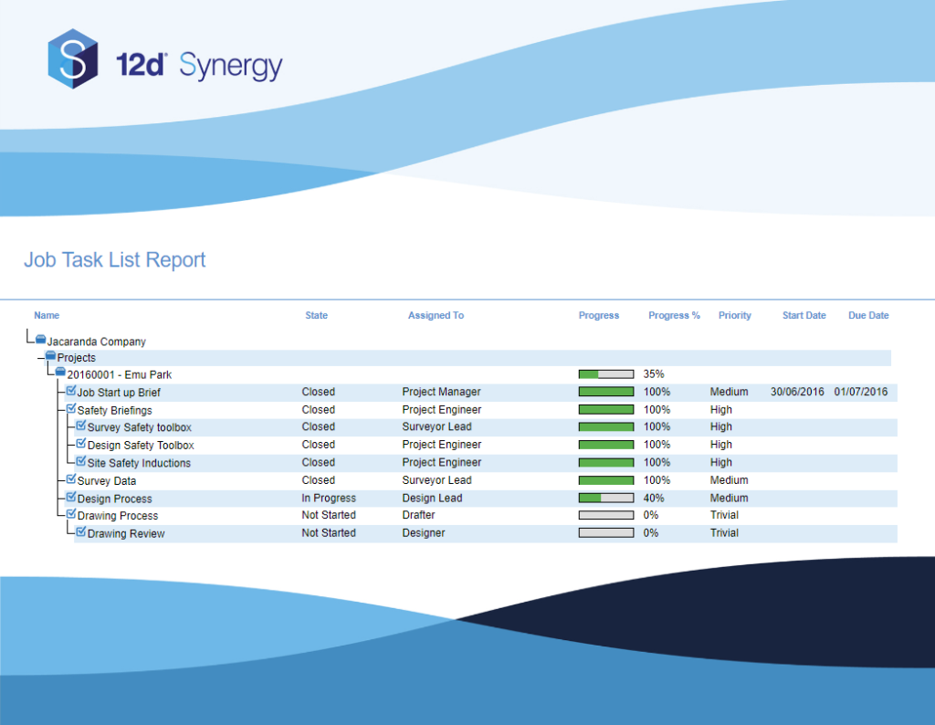 12d Synergy 4.2 New Task Report