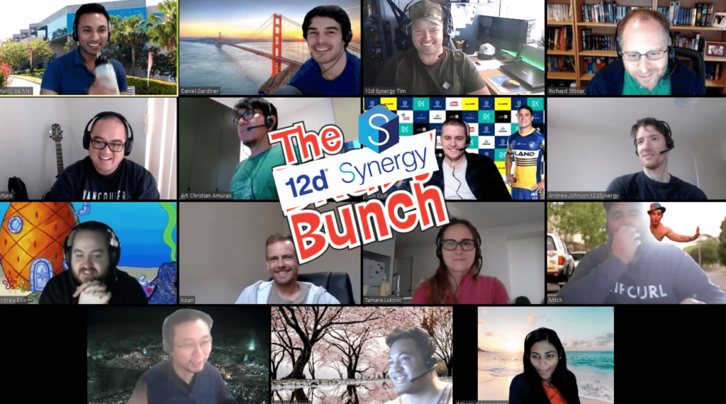 The 12d Synergy Bunch